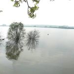 Lac de la Vingeanne
