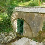 Source de la Marne