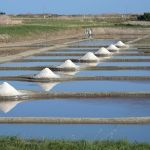 Les marais salants de Noirmoutier