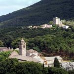 Vignoble du Cap Corse à Luri