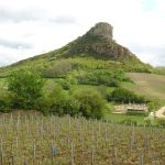 Vignoble de Pouilly-Fuissé