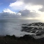 Cancale, parcs à huîtres