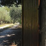 Un lit en Provence
