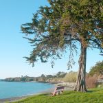 Presqu'île de Saint-Jacut