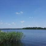 Étang du Stock