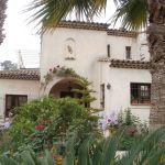 Oasis d'Amon